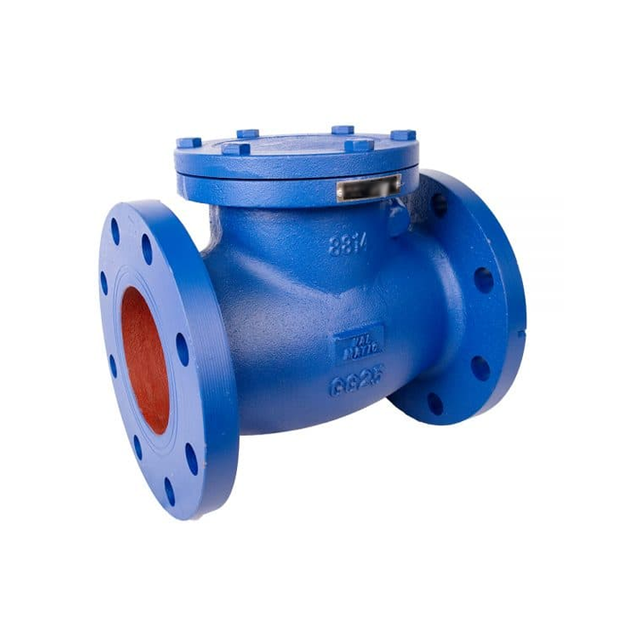 12 swing check valve